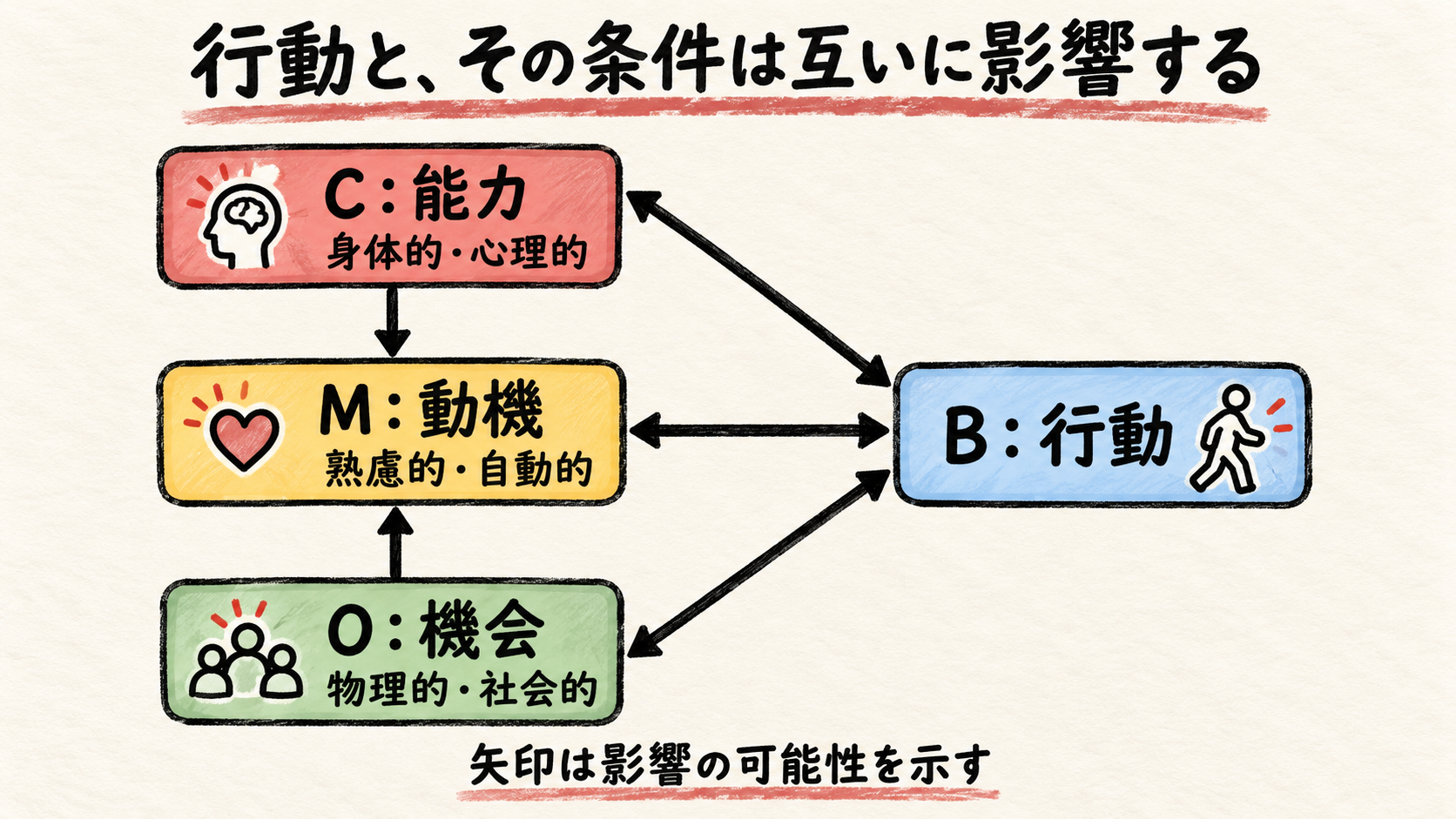 COM-Bの関係図。能力から動機、機会から動機は片方向。能力と行動、動機と行動、機会と行動はそれぞれ双方向。矢印は影響の可能性を示す。